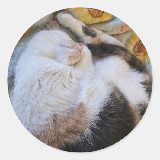 眠っている三毛猫 ラウンドシール (正面)
