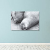 眠っている仲間 キャンバスプリント (インサイチュ (ウッドフロア))