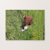 眠っている子牛 ジグソーパズル (横)