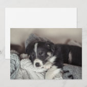 眠っている子犬のフラットデザイン シーズンカード (正面/裏面)