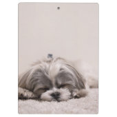 眠っている子犬 クリップボード (裏面)
