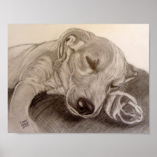 眠っている子犬 ポスター (正面)