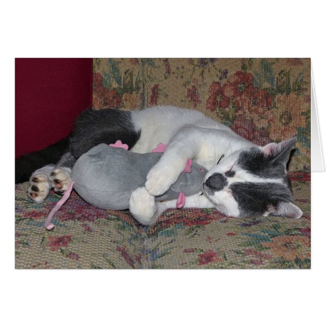 眠っている子猫 (正面横)