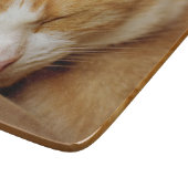 眠っている子猫 カッティングボード (角)