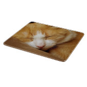 眠っている子猫 カッティングボード (角)