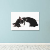 眠っている子猫 キャンバスプリント (インサイチュ (ウッドフロア))