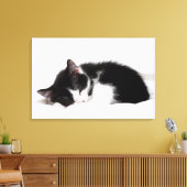眠っている子猫 キャンバスプリント (インサイチュ (リビング))