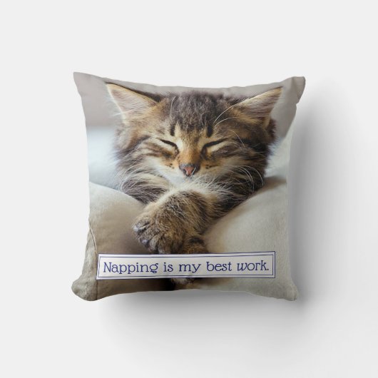 眠っている子猫 クッション (正面)