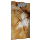 眠っている子猫 クリップボード (右)