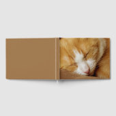 眠っている子猫 ゲストブック (全面)