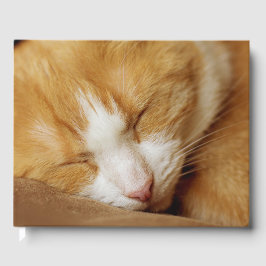 眠っている子猫 ゲストブック