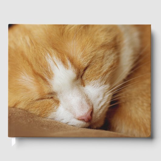 眠っている子猫 ゲストブック (正面)