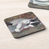 眠っている子猫 コースター (左側)