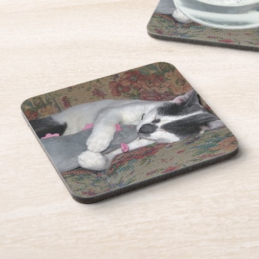 眠っている子猫 コースター (左側)