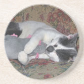 眠っている子猫 コースター (正面)