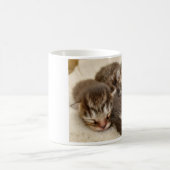 眠っている子猫 コーヒーマグカップ (中央)