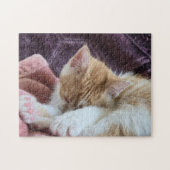 眠っている子猫 ジグソーパズル (横)