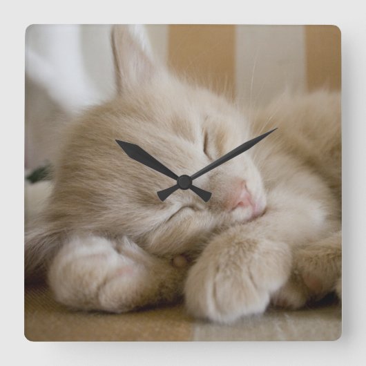 眠っている子猫 スクエア壁時計 (正面)