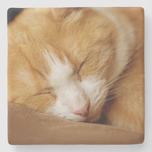 眠っている子猫 ストーンコースター (正面)