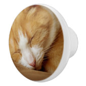 眠っている子猫 セラミックノブ (右)