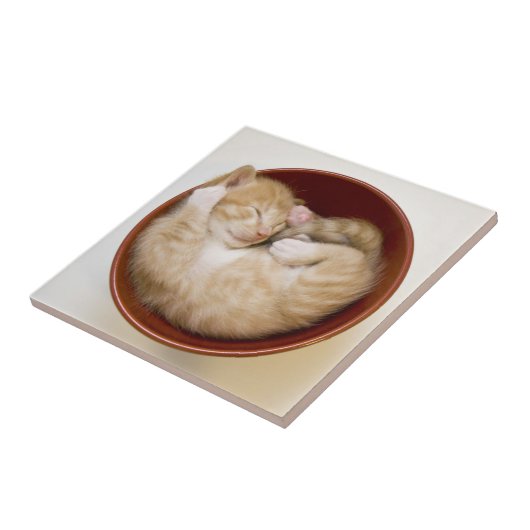 眠っている子猫 タイル (側面)