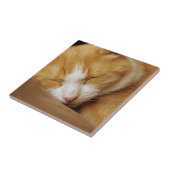 眠っている子猫 タイル (側面)