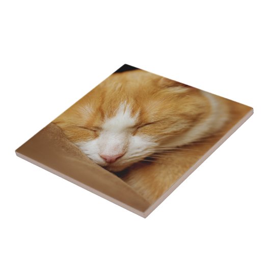 眠っている子猫 タイル (側面)