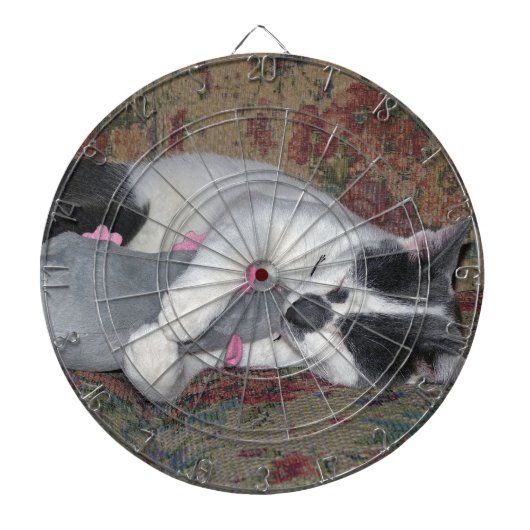 眠っている子猫 ダーツボード (正面)