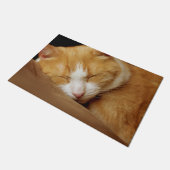 眠っている子猫 ドアマット (アングル)