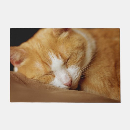 眠っている子猫 ドアマット (正面)