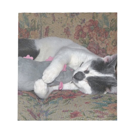 眠っている子猫 ノートパッド (正面)