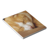 眠っている子猫 ノートパッド (アングル)