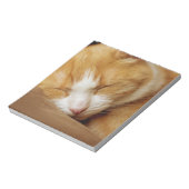 眠っている子猫 ノートパッド (回転)