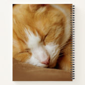 眠っている子猫 ノートブック (裏面)