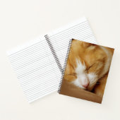 眠っている子猫 ノートブック (内部)