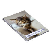 眠っている子猫 ノートブック (右側)