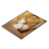 眠っている子猫 ノートブック (左側)