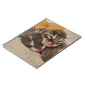 眠っている子猫 ノートブック (左側)