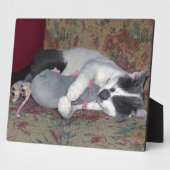 眠っている子猫 フォトプラーク (側面)