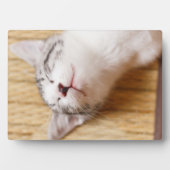 眠っている子猫 フォトプラーク (正面)