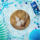 眠っている子猫 ペーパープレート (パーティー)