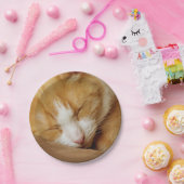眠っている子猫 ペーパープレート (パーティー)