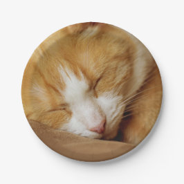 眠っている子猫 ペーパープレート