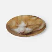眠っている子猫 ペーパープレート (アングル)
