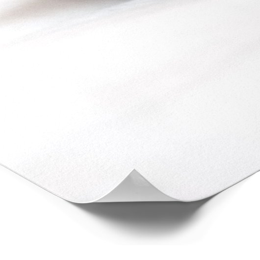 眠っている子猫 ポスター (角)