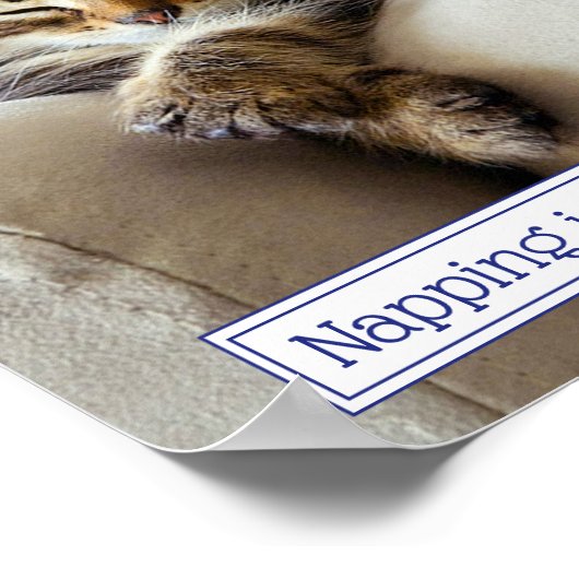 眠っている子猫 ポスター (角)