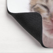 眠っている子猫 マウスパッド (コーナー)