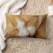 眠っている子猫 ランバークッション (ブランケット)