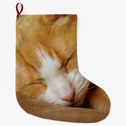 眠っている子猫 ラージクリスマスストッキング (正面)