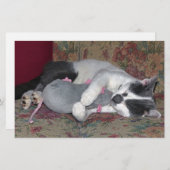 眠っている子猫 便箋 (正面/裏面)